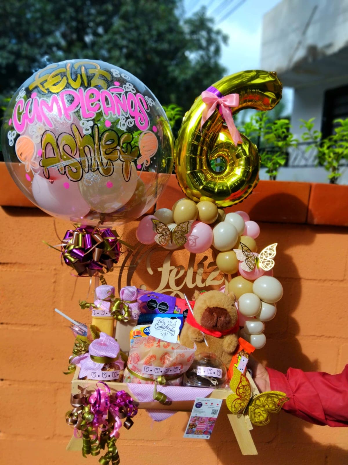 Explosión de Ternura: Edición Capibara Infantil en Medellín - Creaciones Vane